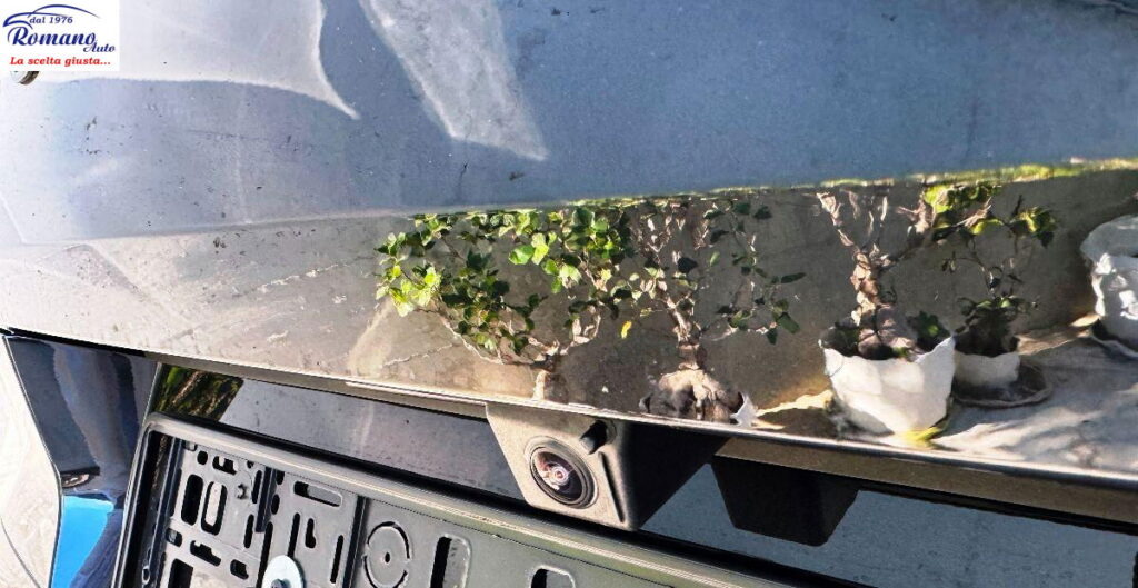 NEW MINI John Cooper Works Countryman#Tetto Apribile#Pack S!