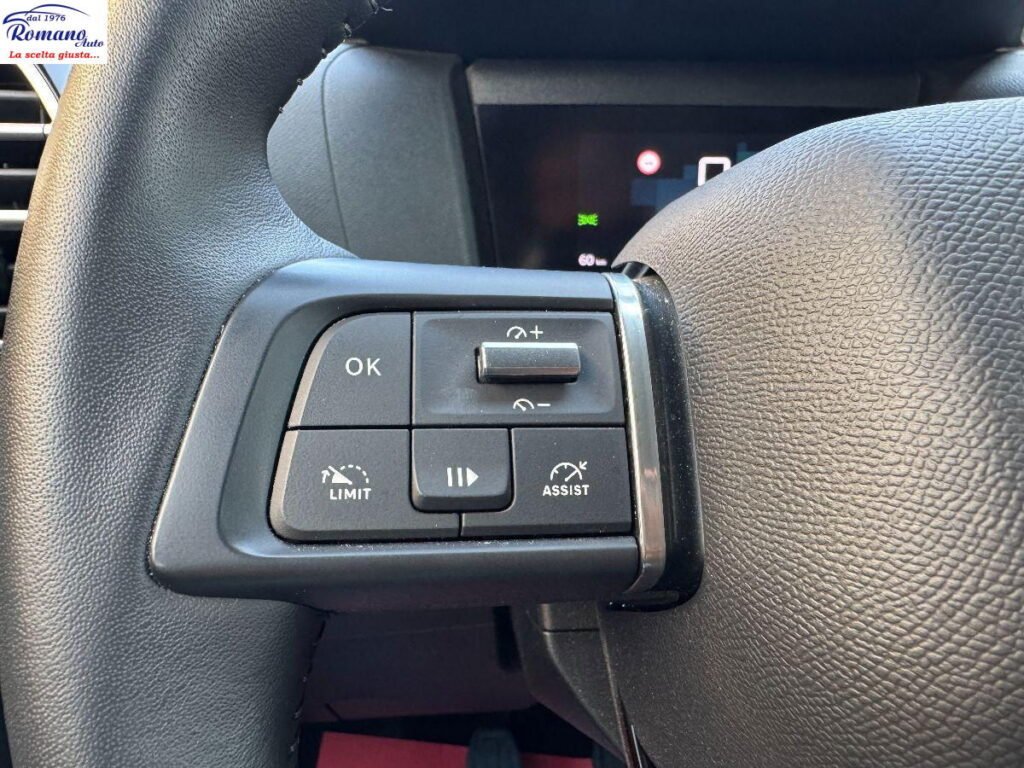 CITROEN - C4 - PureTech PureTech 130 YOU#SOLO 6.700KM!