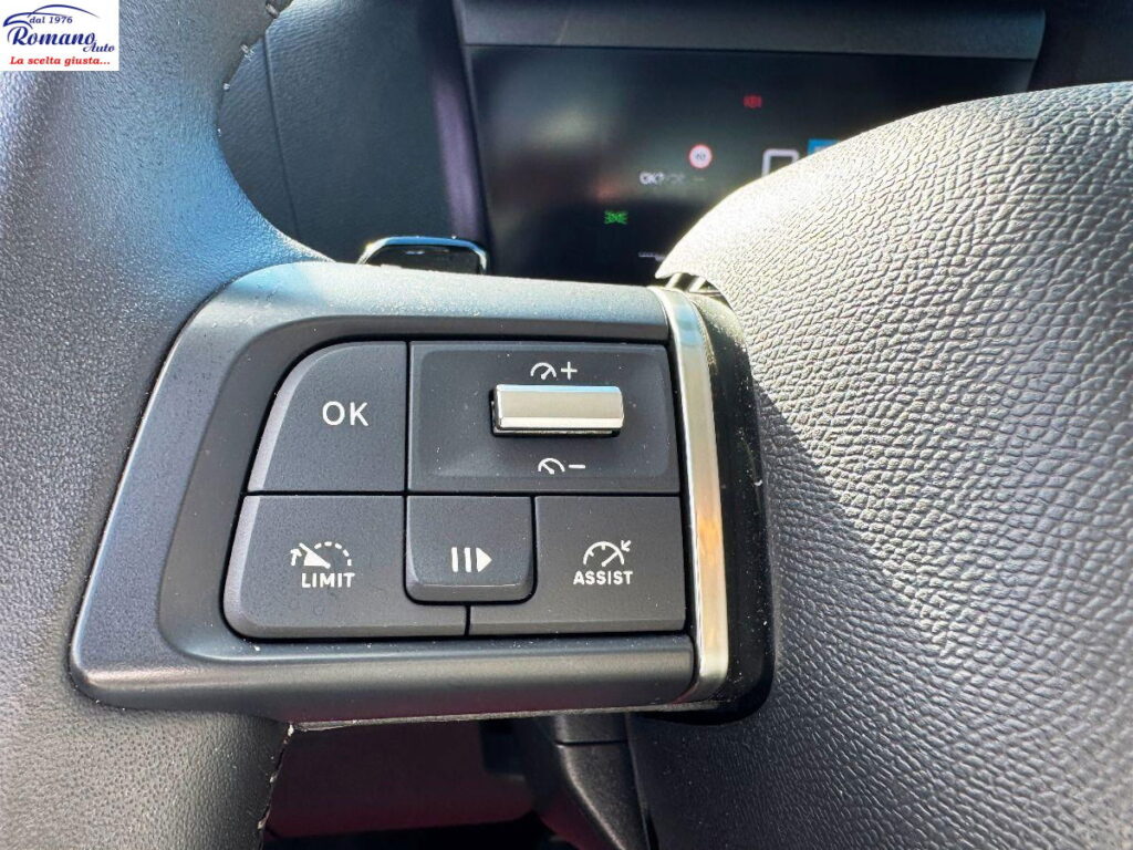 Citroen C4 X BlueHDI 130 EAT8 PLUS#CARPLAY!RETROCAMERA!CERCHI R18&Acirc;&deg;!