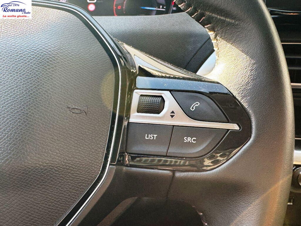 PEUGEOT - 3008  1.5 bluehdi Active Business 130cv#RETROCAMERA!