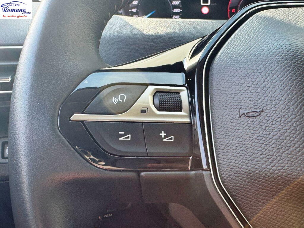 PEUGEOT - 3008  1.5 bluehdi Active Business 130cv#RETROCAMERA!