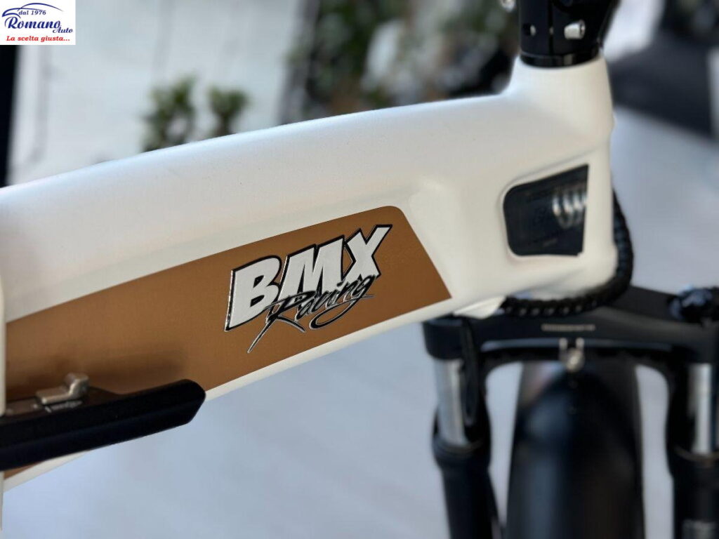 MIK-MOTOR BMX 022 500W Racing Limited Edition