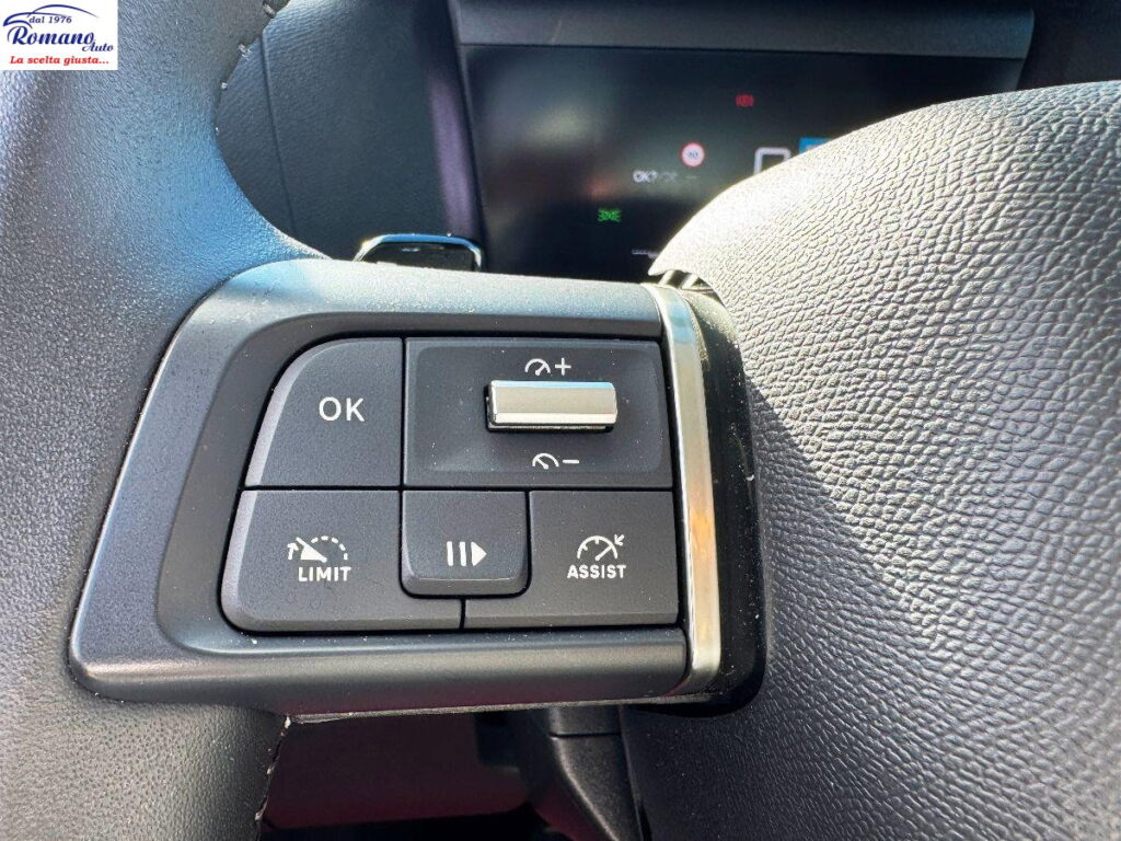 Citroen C4 X BlueHDI 130 EAT8 PLUS#CARPLAY!RETROCAMERA!CERCHI R18&Acirc;&deg;!